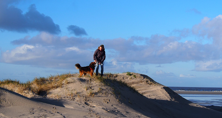 Ferienwohnung St. PeterOrding Familienurlaub Nordsee Urlaub mit Hund
