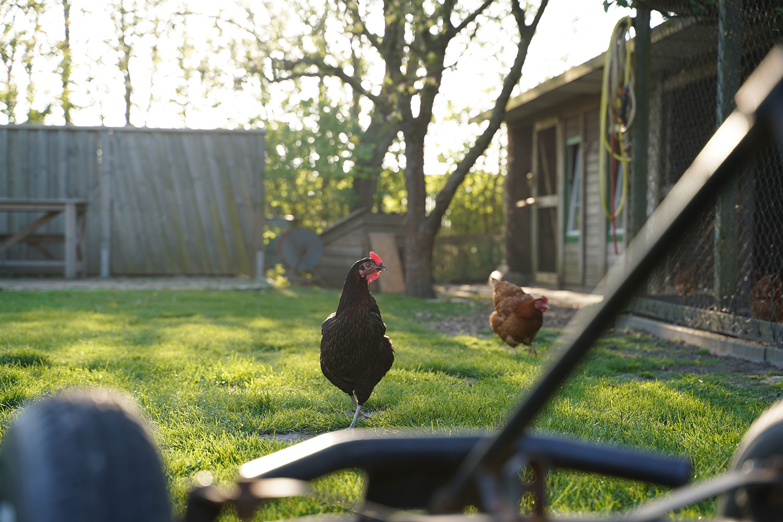 Der Tag erwacht: Ferien auf dem Bauernhof, ein Familienurlaub in St. Peter-Ording.