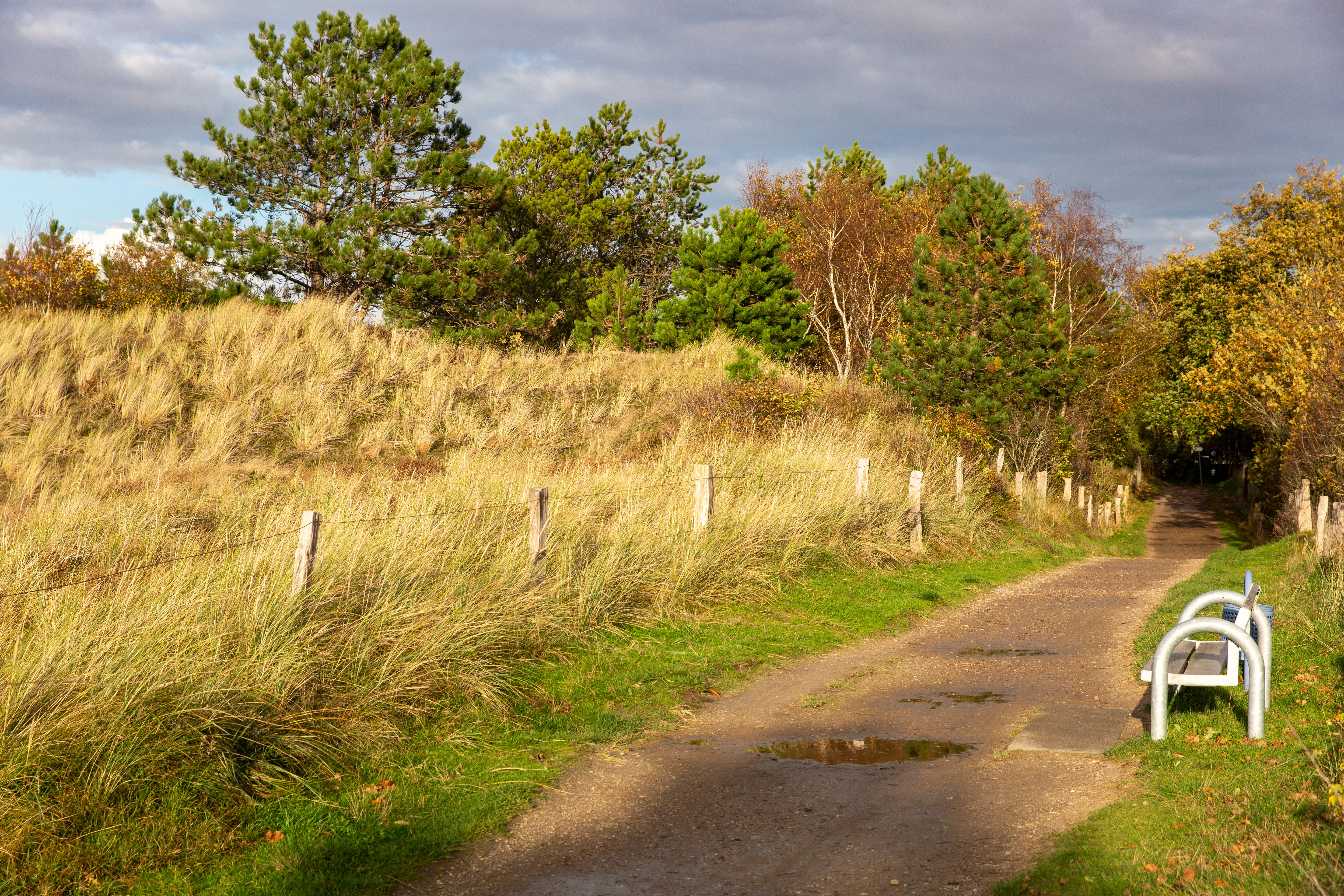 Wanderweg mit Bank am Abendlicht