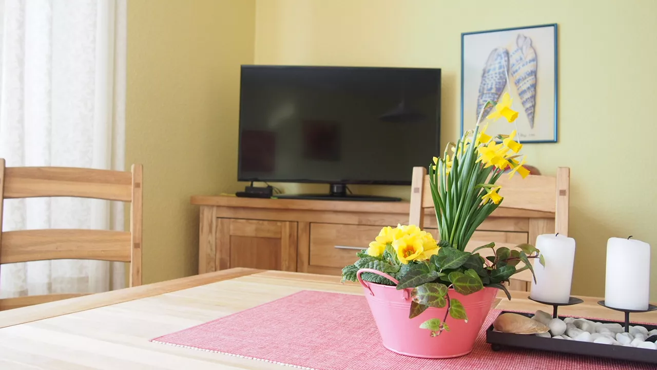 Wohnzimmer Ferienwohnung 1 – gemütliche Sitzecke mit Fernseher