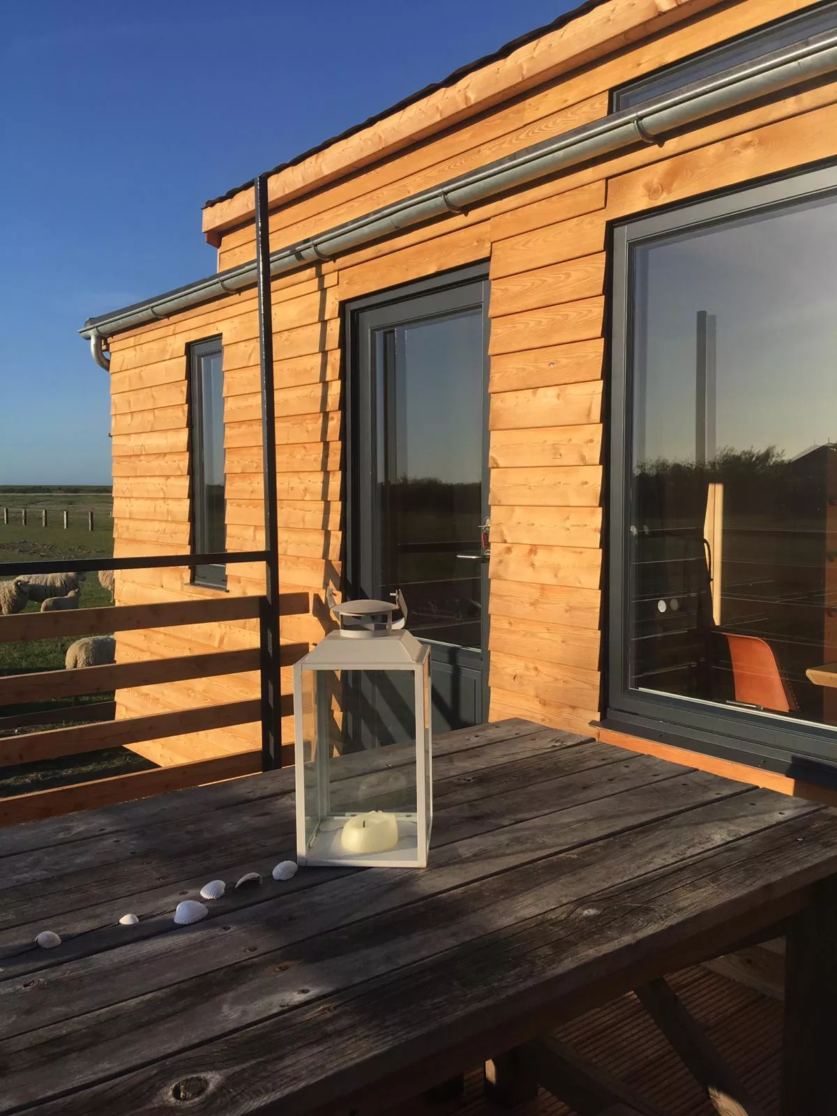 Schäferwagen Terrasse