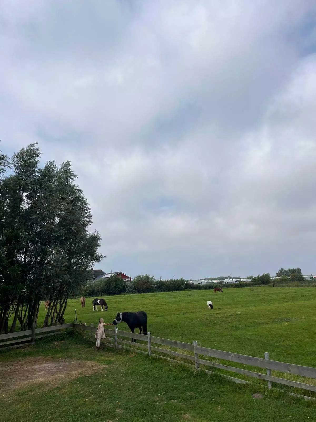 Ausblick von der Terrasse des Schäferwagens – Arche-Hof Leuchtfeuer