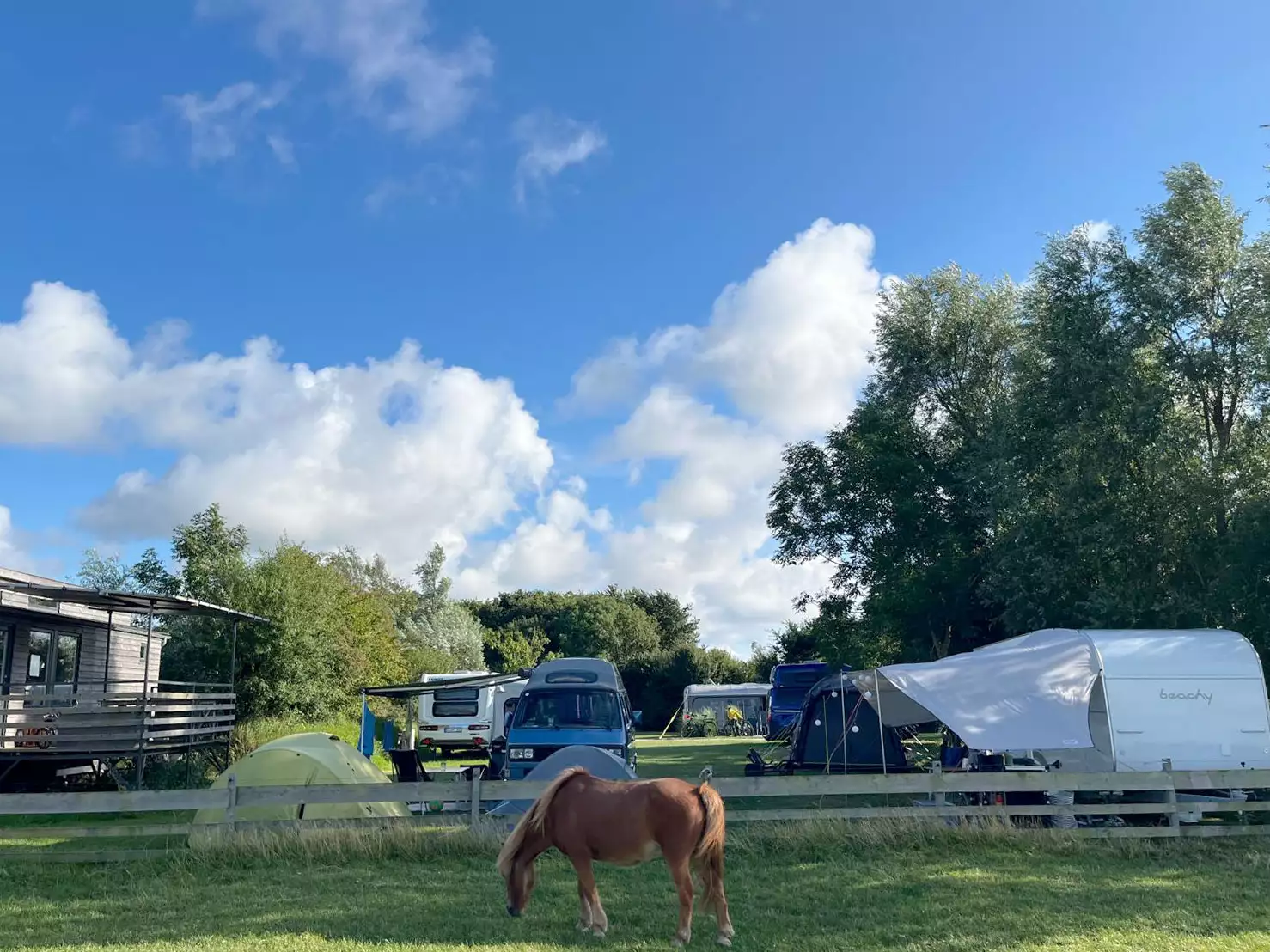 ony auf dem Ferienhof im Vordergrund, Campingplatz im Hintergrund – Natururlaub für Familien
