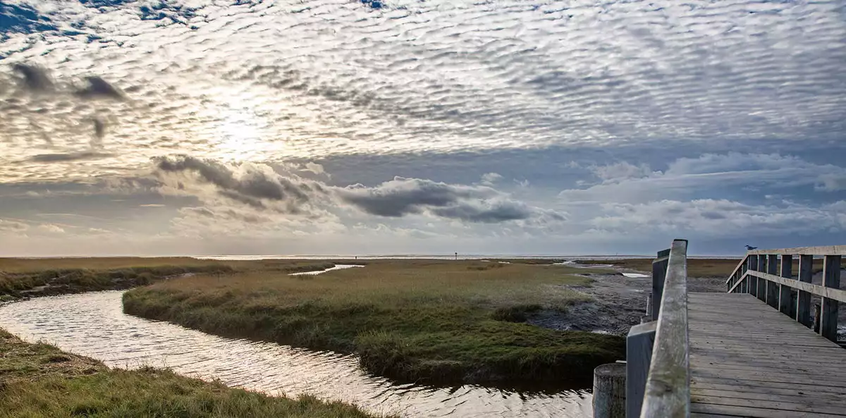 Atemberaubende Natur in St. Peter-Ording - Urlaub an der Nordsee