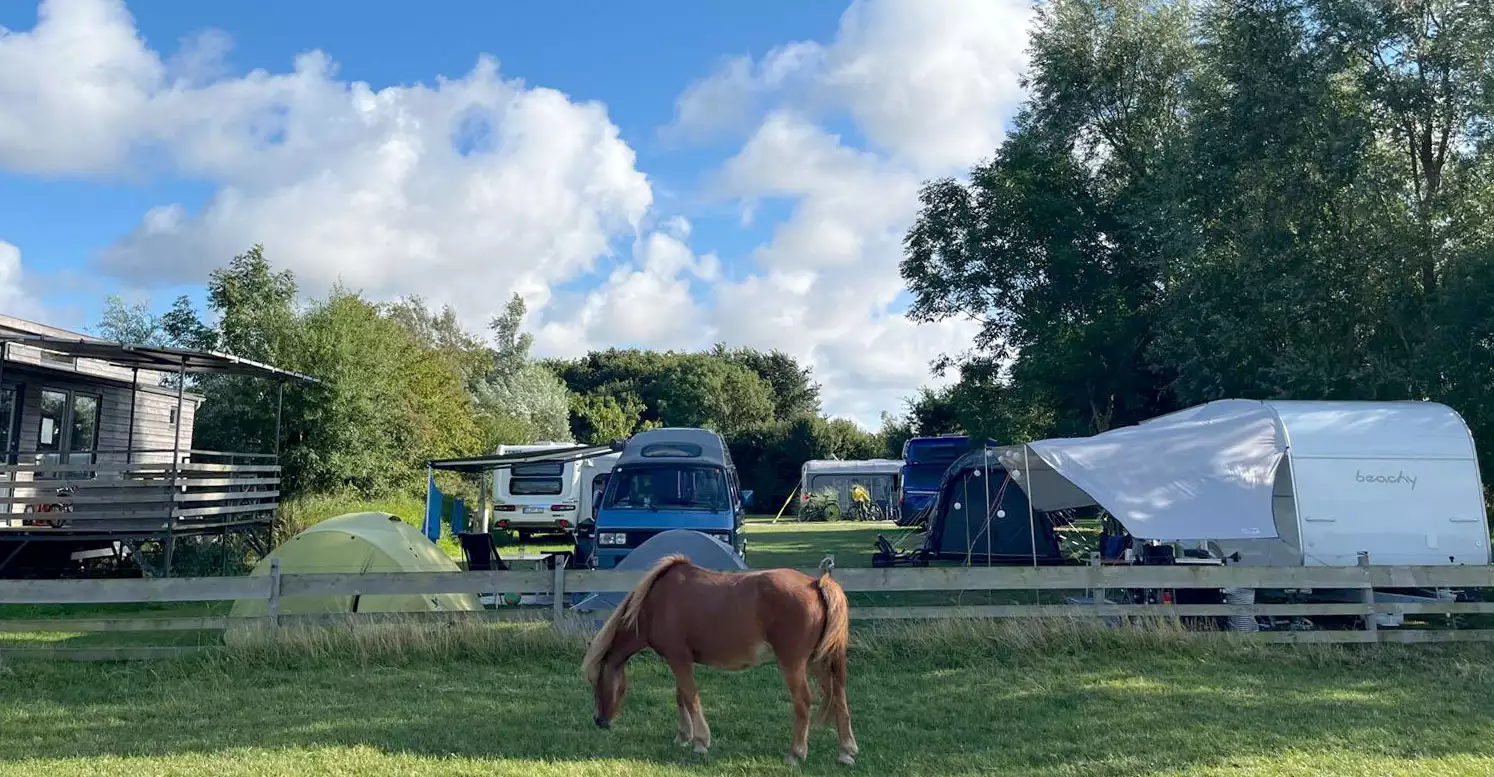 Campingplatz in der Natur in St. Peter-Ording auf dem Ferienhof Voss