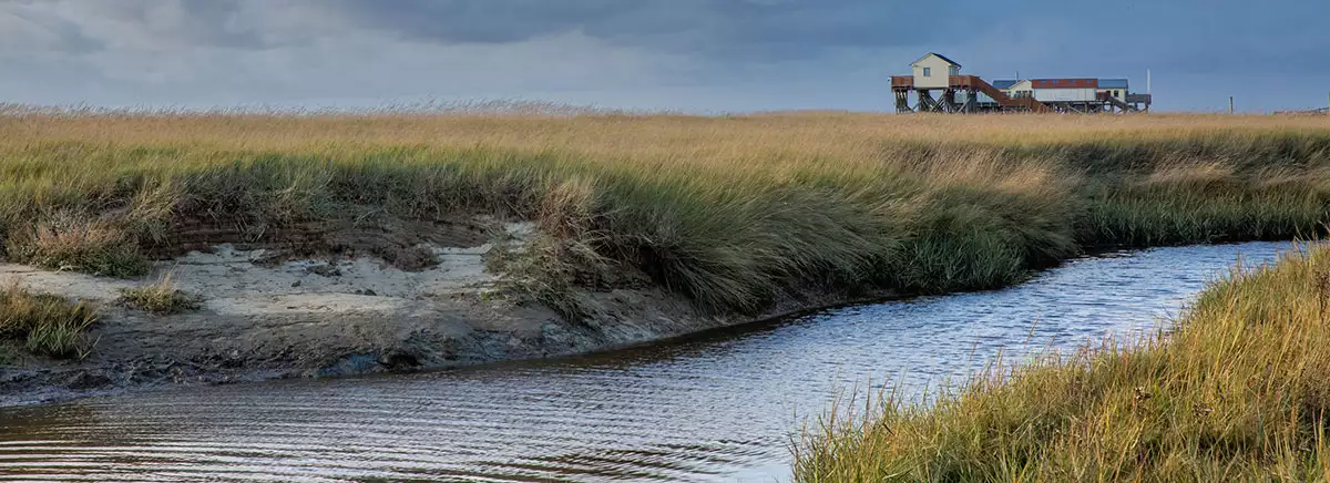 Urlaub in St. Peter-Ording umgeben von idyllischer Natur und viel Nordsee