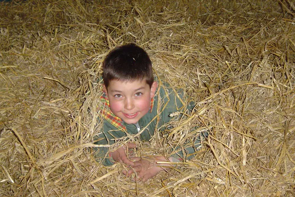 Junge schaut fröhlich mit dem Kopf aus dem Stroh – Familienurlaub auf dem Bauernhof