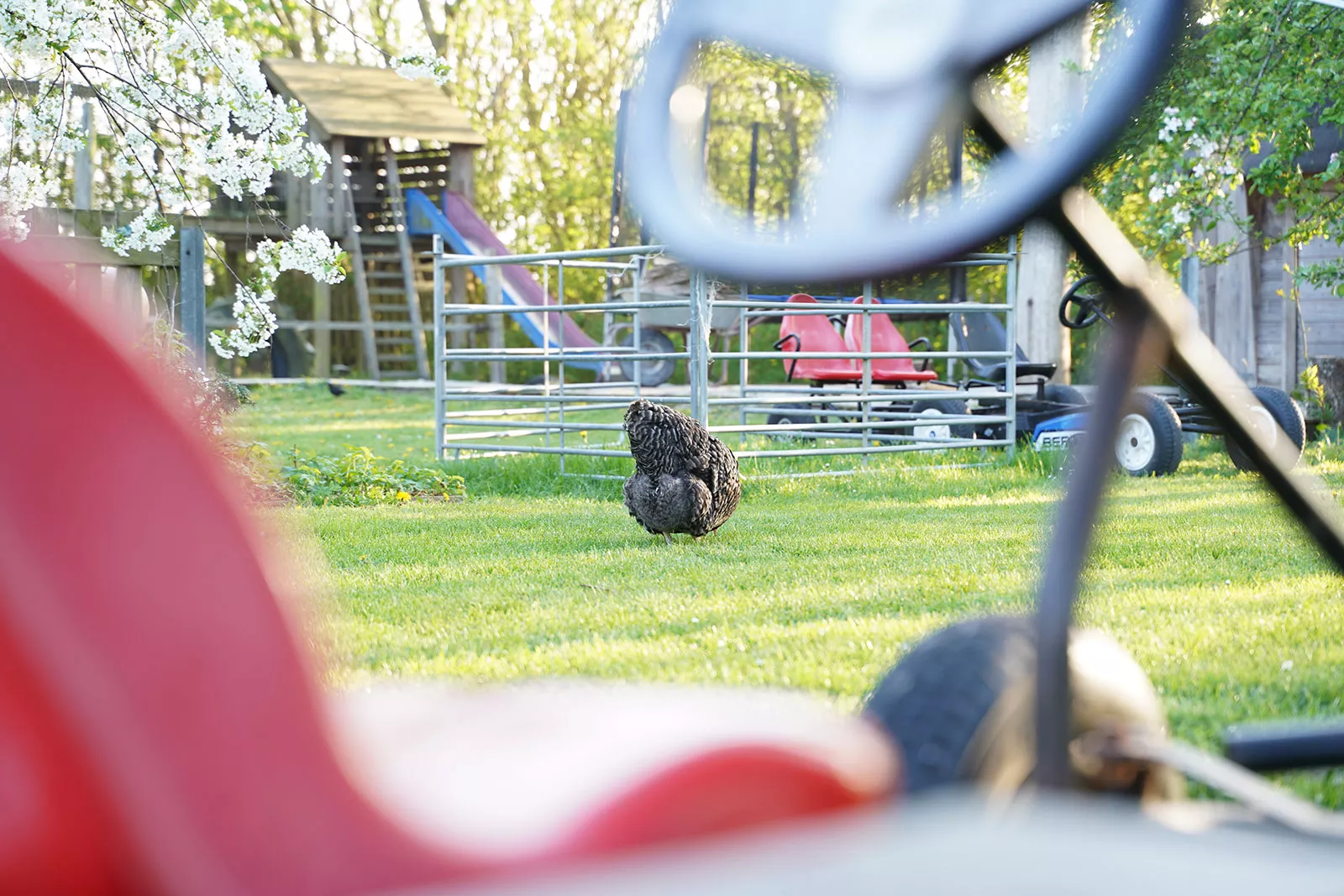 Obstbaumblüten im Frühling mit Kinderspielplatz und Spielzeug auf dem Ferienhof