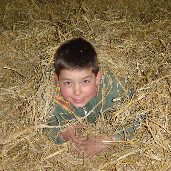 Junge schaut aus dem Heu