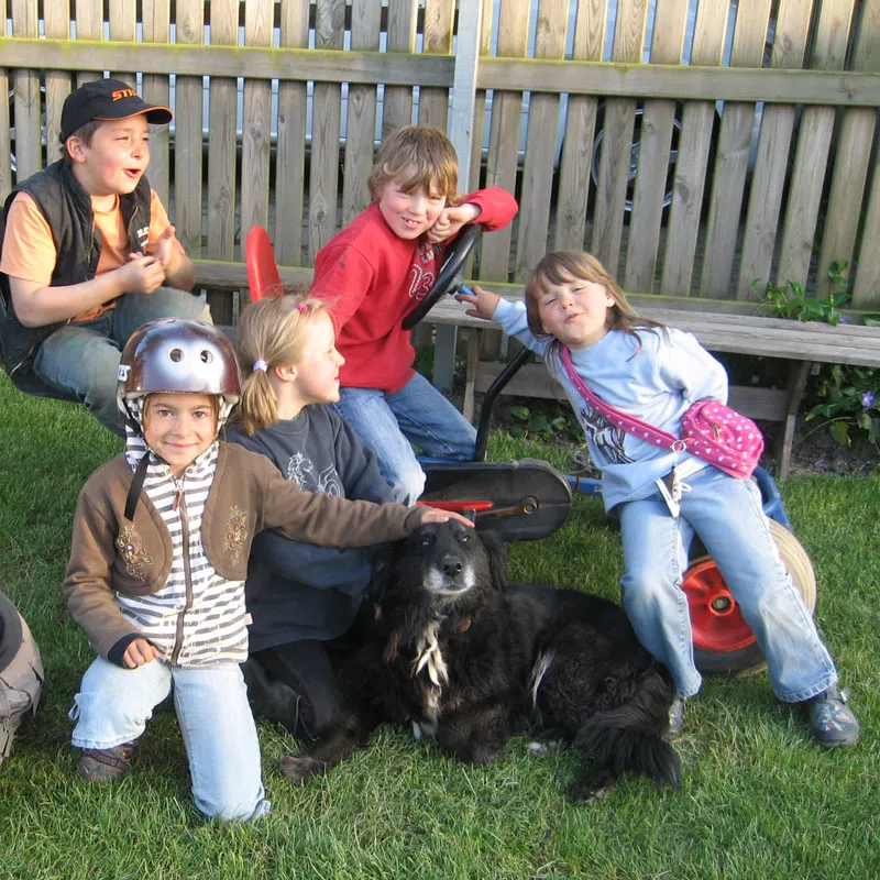 Kinder spielen auf dem Bauernhof